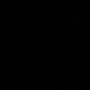 Meet your Posher, Dashiell